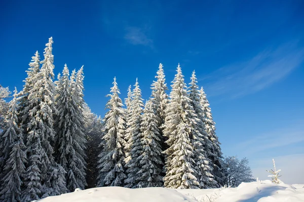 Montanha da neve — Fotografia de Stock