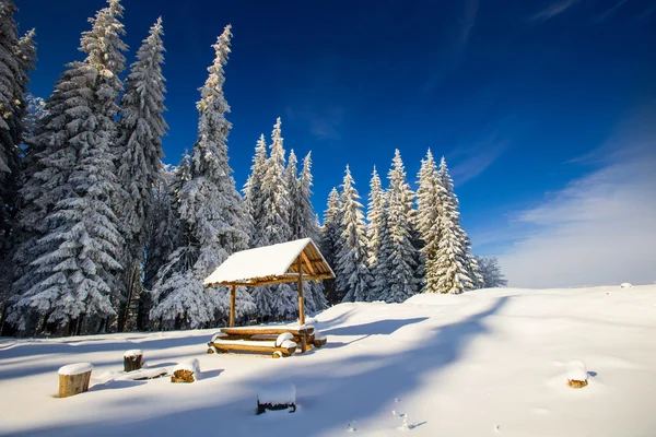 Magischer Winter schneebedeckter Baum — Stockfoto