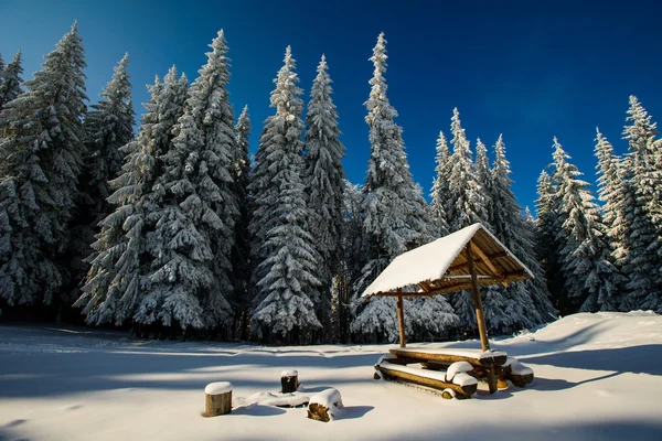 Árbol cubierto de nieve mágico invierno —  Fotos de Stock