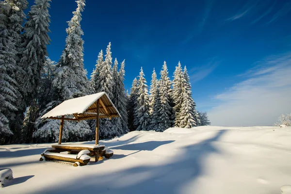 Arbre magique couvert de neige d'hiver — Photo