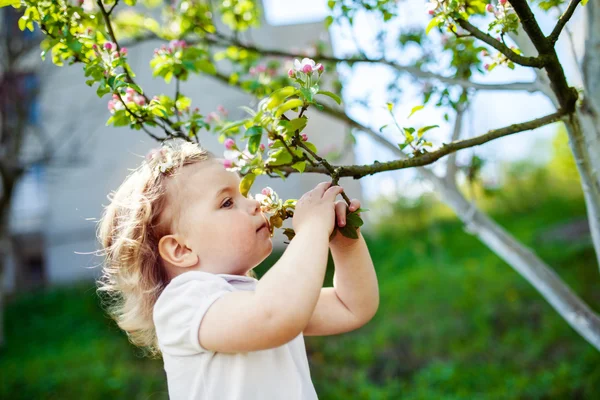 Dziecko w kwitnąć drzewa — Zdjęcie stockowe