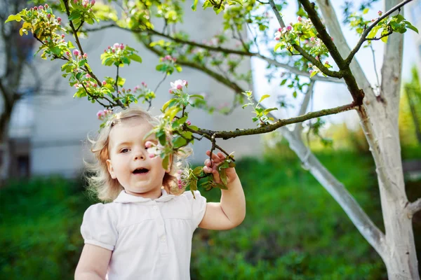 Child at the blossom trees — Stock Photo, Image