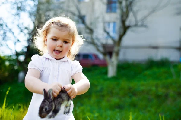 Kind met een konijn op het gras — Stockfoto