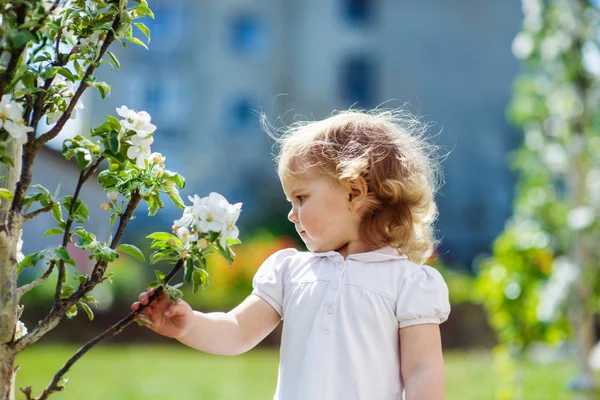 Niño en los árboles de flores — Foto de Stock