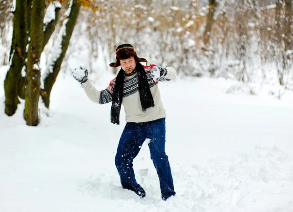 Palle di neve — Foto Stock