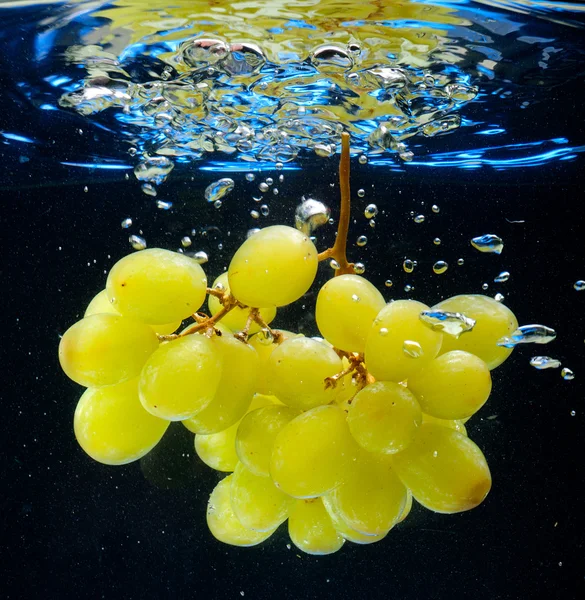 水のブドウ — ストック写真