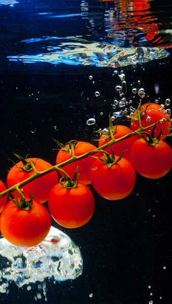 Tomate — Fotografia de Stock