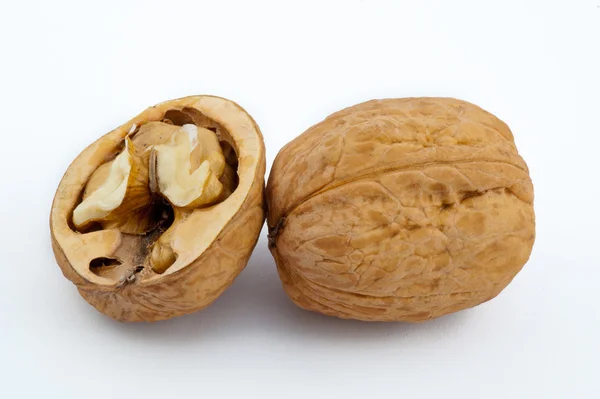 Walnut — Stockfoto