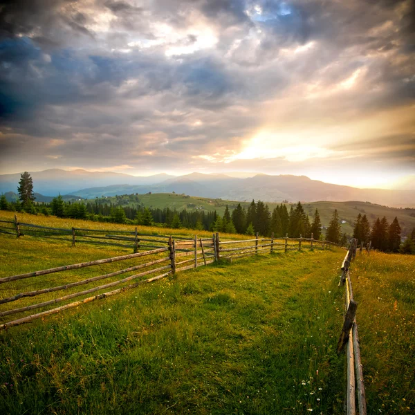 Mining field — Stock Photo, Image