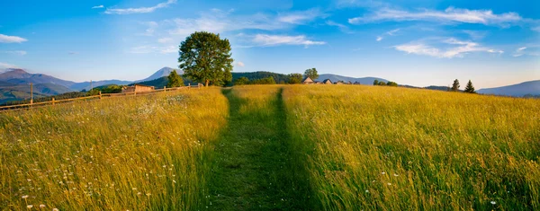 Bányászati mező — Stock Fotó