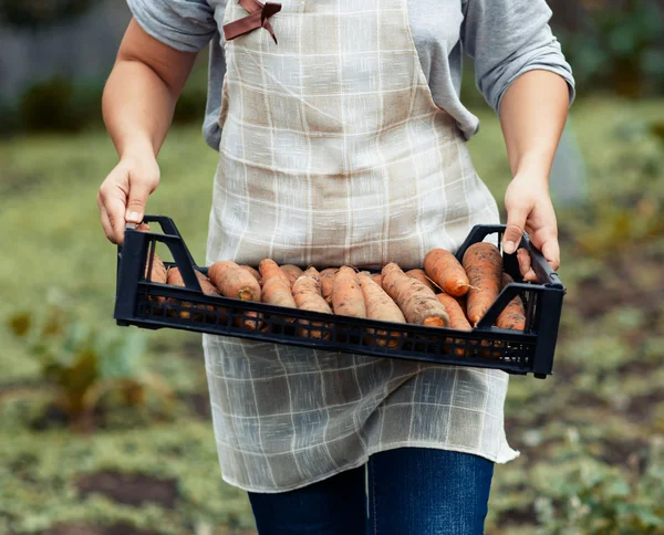 Donna in giardino — Foto Stock