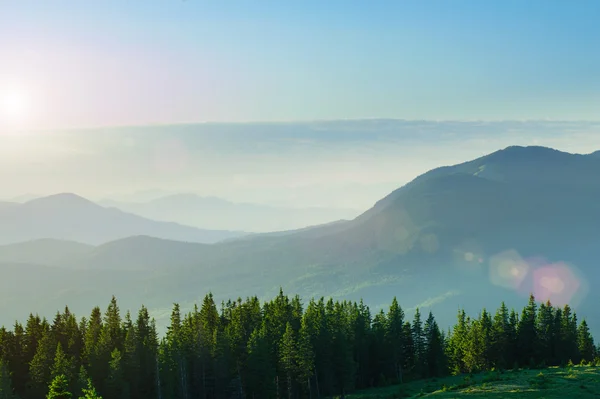 Carpathian Mountains — Stock Photo, Image