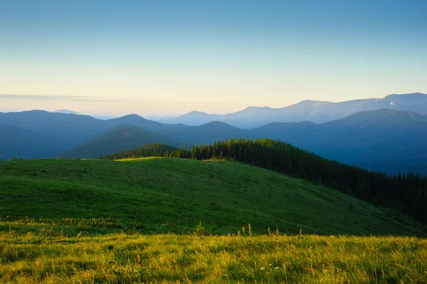 Carpathian Mountains — Stock Photo, Image