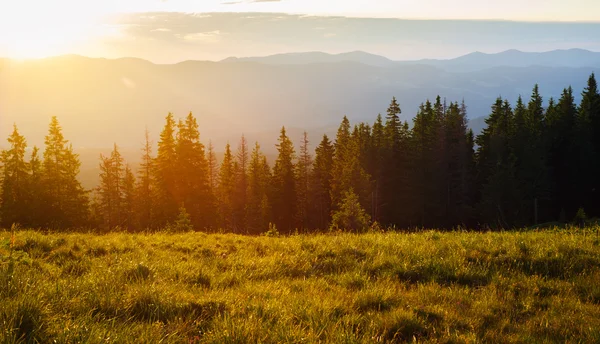 Carpathian mountains — Stock Photo, Image