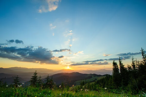 Montagne carpatiche — Foto Stock