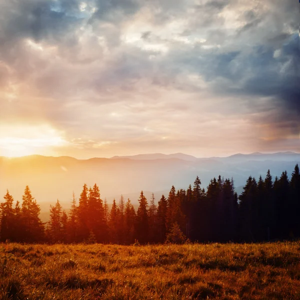 Carpathians — Stock Photo, Image