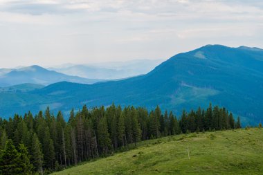 yeşil tepeler ve mavi gökyüzü. 