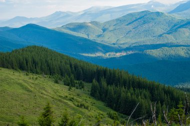 yeşil tepeler ve mavi gökyüzü. 