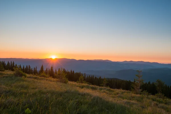 Carpathian mountains — Stock Photo, Image