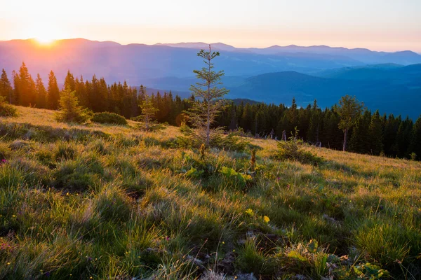 Carpathian mountains — Stock Photo, Image