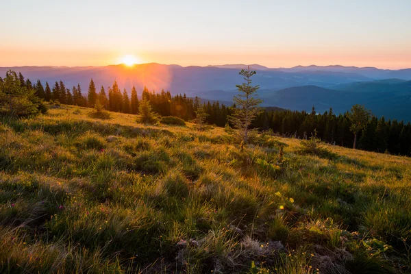 Carpathian mountains — Stock Photo, Image