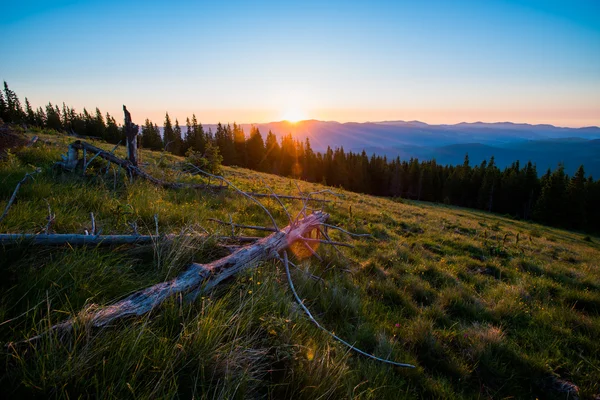 Carpathian mountains — Stock Photo, Image