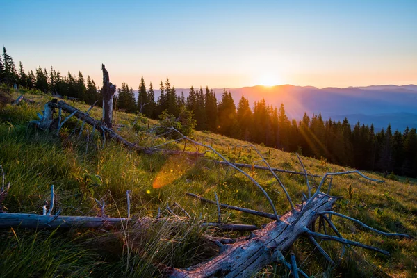 Carpathian mountains — Stock Photo, Image