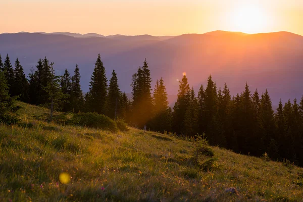 Carpathian mountains — Stock Photo, Image