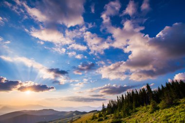 dağlarda yaz peyzaj