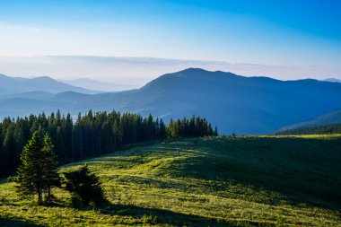 yeşil tepeler ve mavi gökyüzü