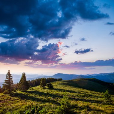 dağlarda yaz peyzaj