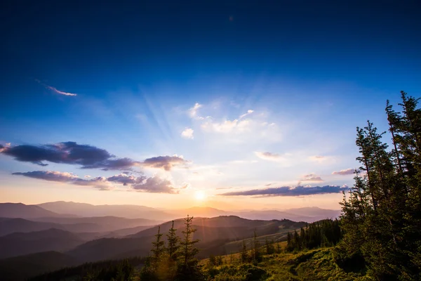 Zomer landschap — Stockfoto