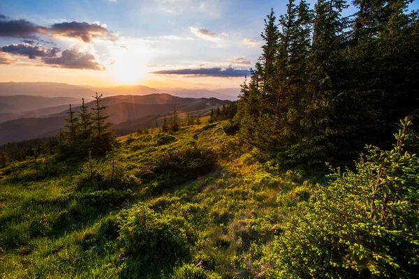 Letní krajina v horách — Stock fotografie