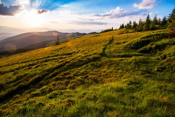 Kleurrijke zomer landschap — Stockfoto