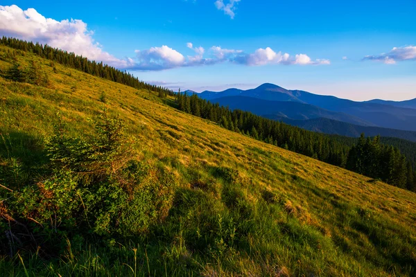 Kleurrijke zomer landschap — Stockfoto