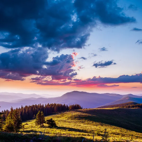 Letní krajina v horách — Stock fotografie