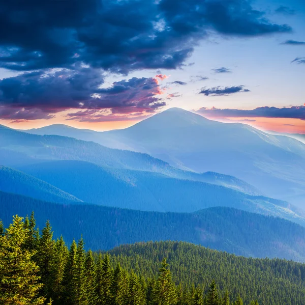 Paisagem de verão nas montanhas — Fotografia de Stock