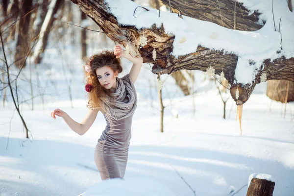 Красива дівчина в зимовому лісі — стокове фото