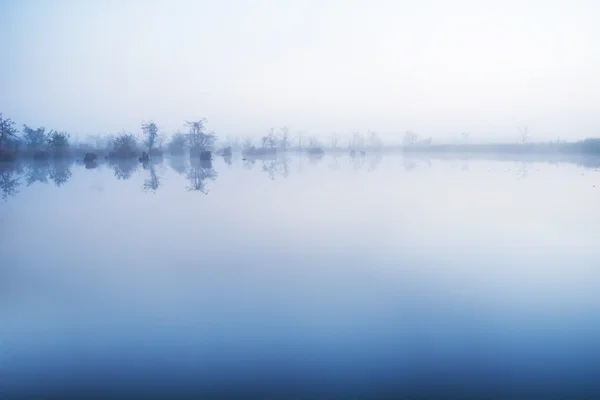 Dia frio — Fotografia de Stock