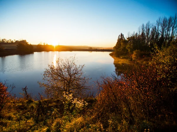 Barevné podzimní listí na jezeře — Stock fotografie