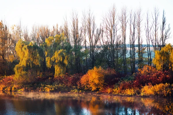 丰富多彩的秋天树叶，在湖上 — 图库照片