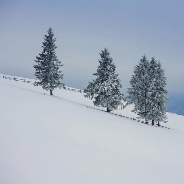 Winterlandschaft — Stockfoto