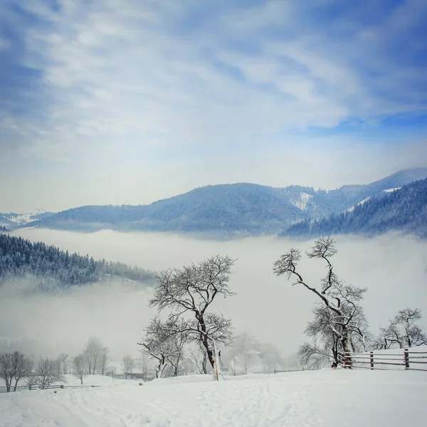 Vinterlandskap — Stockfoto