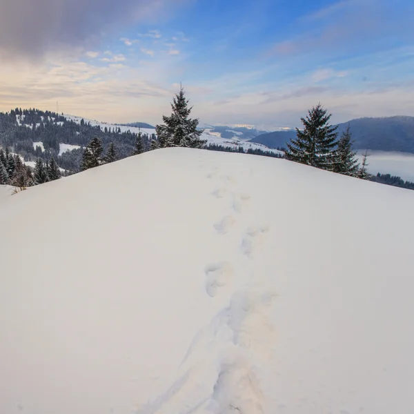 Vinterlandskap — Stockfoto