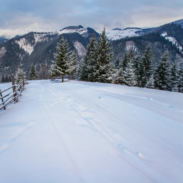 Paisaje invierno —  Fotos de Stock