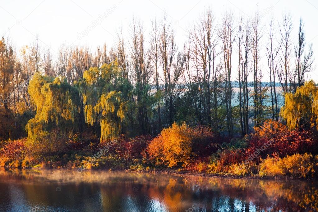 Colorful autumn foliage on Lake