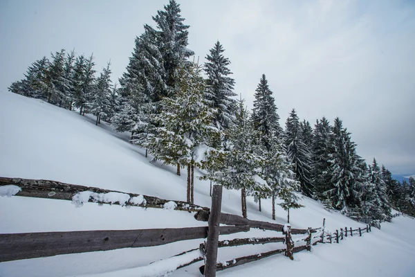 Paesaggio invernale — Foto Stock