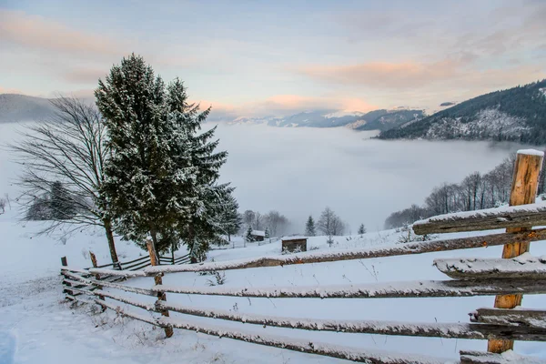 Paisaje invierno — Foto de Stock