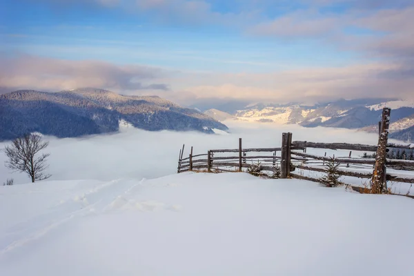 Paisagem inverno — Fotografia de Stock