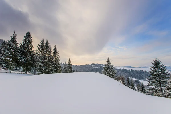 Cárpatos montanhas de inverno — Fotografia de Stock